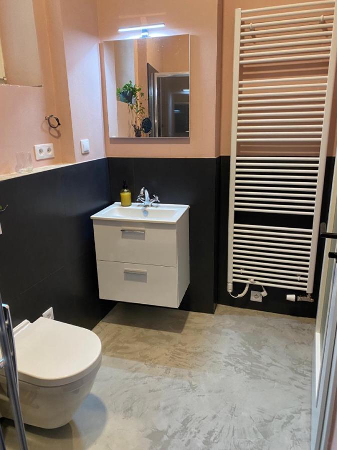 Four Rooms Carlsbad Authentic Κάρλοβι Βάρι Εξωτερικό φωτογραφία